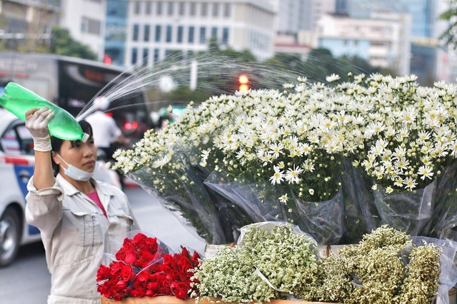 Ngắm cúc họa mi tinh khôi mang đông về khắp phố phường Hà Nội - 5 Mỗi xe hoa trung bình bán được từ 100 đến 120 bó mỗi ngày. Theo đó, mỗi bó cúc nhỏ có giá khoảng 40.000đ.