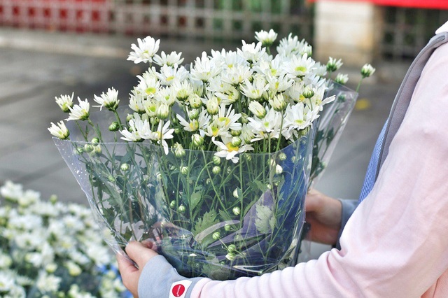 Ngắm cúc họa mi tinh khôi mang đông về khắp phố phường Hà Nội - 7 Không chỉ mua về cắm, cúc họa mi còn trở thành một loại “phụ kiện” tuyệt đẹp cho các buổi chụp hình như: chụp ảnh cưới; chụp lookbook; kỷ yếu,..