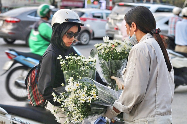 Ngắm cúc họa mi tinh khôi mang đông về khắp phố phường Hà Nội - 9 Với đặc tính hoa “sớm nở chóng tàn”, nhiều người yêu cúc họa mi đã phải tìm mua từ rất sớm để sở hữu những bó cúc ứng ý.