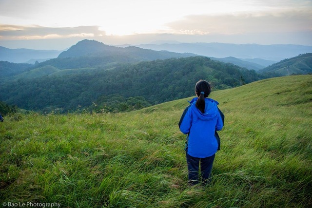 Những đồi cỏ xanh bạt ngàn trên cung đường trekking đẹp nhất Việt Nam - 4 Cảnh sắc mùa cỏ xanh ở Phan Dũng khiến ta như lạc vào một thế giới khác, với những thảm cỏ xanh bạt ngàn, nối tiếp nhau đến tận chân trời. Có lẽ vì thế mà đây được xem là thời gian lý tưởng để thực hiện chuyến đi trek, khám phá cung đường được mệnh danh là đẹp nhất Việt Nam này.