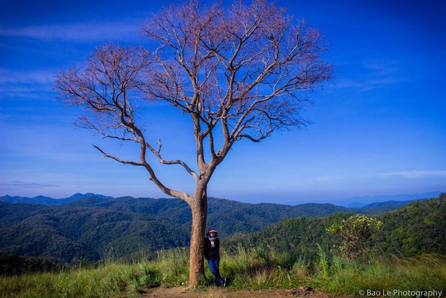 Những đồi cỏ xanh bạt ngàn trên cung đường trekking đẹp nhất Việt Nam - 5 Tà Năng – Phan Dũng vào độ tháng 11, thời tiết không quá lạnh, mưa không nhiều nên thuận lợi để ngắm cảnh sắc thiên nhiên.