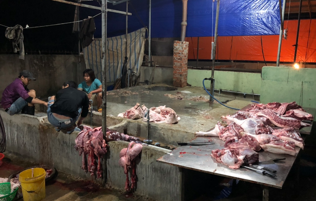 7 lần đổi địa điểm mổ heo lậu để “né” kiểm tra - 1 Thịt heo tại lò mổ heo lậụ được để tràn lan trên nền nhà không đảm bảo vệ sinh.