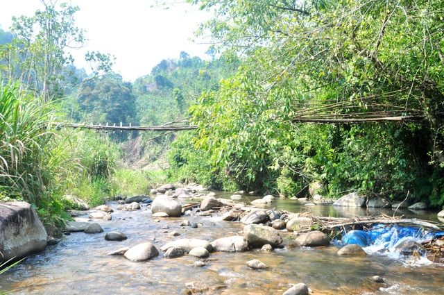 Thu hồi dự án thủy điện Đăk Di 4 là đúng luật - 1 Dự án thủy điện Đăk Di 4 thuộc xã Trà Mai, trung tâm huyện Nam Trà My. UBND tỉnh Quảng Nam đã kiên quyết thu hồi dự án thủy điện này vì chủ đầu tư có nhiều sai phạm. Ảnh: Một con suối chảy qua trung tâm huyện Nam Trà My