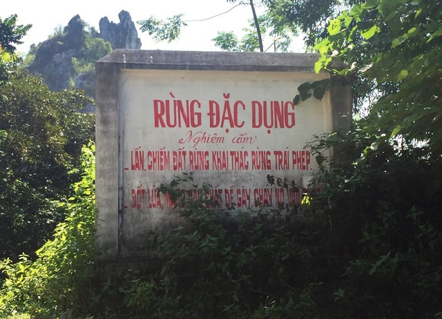 Ngang nhiên chặt phá rừng đặc dụng - 1 Khu vực rừng đặc dụng Hàm Rồng, thành phố Thanh Hóa.