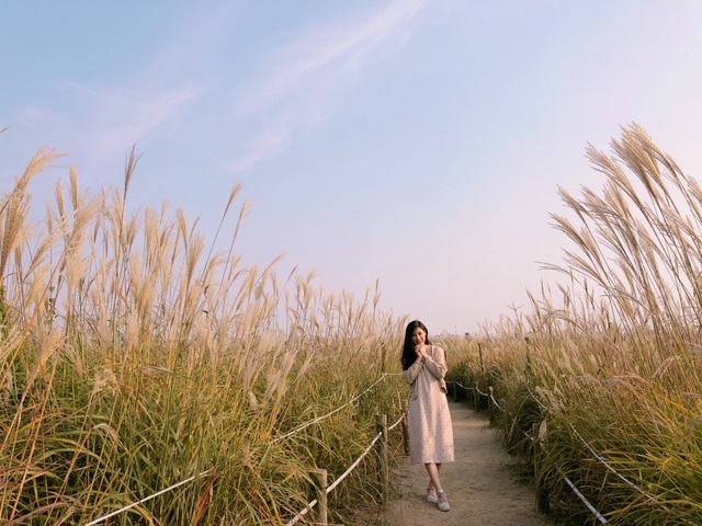 Phí Thùy Linh chia sẻ kinh nghiệm du lịch Hàn Quốc cùng con trai nhỏ - 4 Cánh đồng lau ở công viên Sky Park (tên khác: Haneul), suối Cheonggyecheon, công viên Lotte World, bảo tàng ở Dongdaemun và một số khu mua sắm Myeongdong, Sinchon, Gangnam...