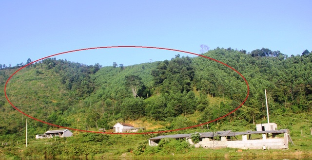 Nhiều ha đất rừng bỗng nhiên bị “biến mất” sau cấp đổi tại Nghệ An! - 1 . Khu vực tranh chấp đất rừng (vòng tròn đỏ) giữa ông Nguyễn Hữu Giáp và ông Nguyễn Hữu Trang.