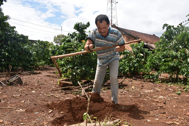 “Căn nhà nhân ái” thay đổi cuộc đời của đôi vợ chồng khuyết tật - 4 Nhờ sự hỗ trợ, anh Hồng có thêm động lực để sống và làm việc xây dựng kinh tế gia đình