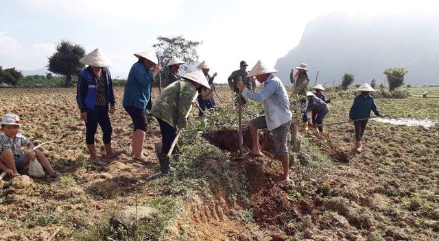 Hai ngày tiêu diệt gần 13.000 con chuột, bán hết cho chính quyền - 1 Gần 11.000 người dân huyện miền núi Tuyên Hoá ra đồng diệt chuột...
