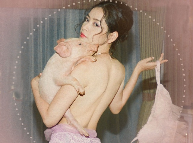 Chi Pu gây sốc khi cởi đồ, chụp ảnh bán nuy với… heo con - 2 Trong teaser còn ghi lại khoảnh khắc Chi Pu cởi áo và ôm trong tay chú heo con khiến nhiều người rất bất ngờ.