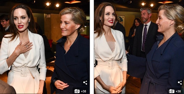 Angelina Jolie đẹp tinh tế và thanh lịch - 3
Nữ diễn viên 43 tuổi là người đồng sáng lập tổ chức nhân đạo này