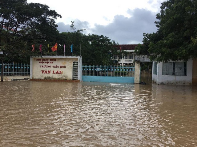 Ninh Thuận mênh mông “biển nước”, mưa vẫn chưa ngừng - 6 Nhiều cơ quan và nhà dân của xã Phước Nam bị chìm trong nước