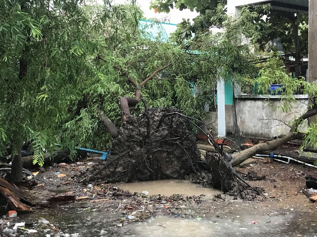 TPHCM và Vũng Tàu mưa to, gió lớn, sóng biển mạnh - 6 TPHCM và Vũng Tàu mưa to, gió lớn, sóng biển mạnh - 6