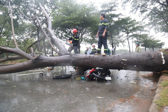 Sài Gòn ngập khắp nơi, cây đổ đè người đi đường tử vong - 4 Sài Gòn ngập khắp nơi, cây đổ đè người đi đường tử vong - 4