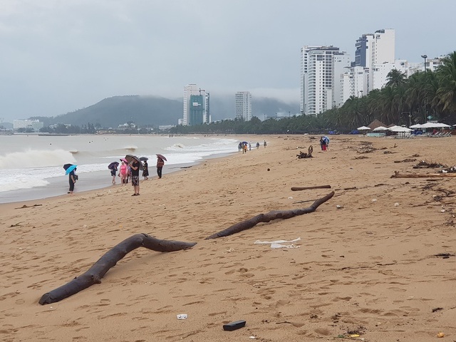 Nha Trang: Bãi biển bị rác từ thượng nguồn "tấn công" sau mưa lũ - 5 Nha Trang: Bãi biển bị rác từ thượng nguồn "tấn công" sau mưa lũ - 5