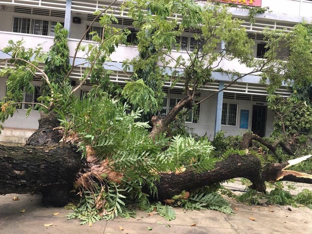 TPHCM: Ngày 27/11, hàng ngàn học sinh tiếp tục nghỉ học - 1 TPHCM: Ngày 27/11, hàng ngàn học sinh tiếp tục nghỉ học - 1