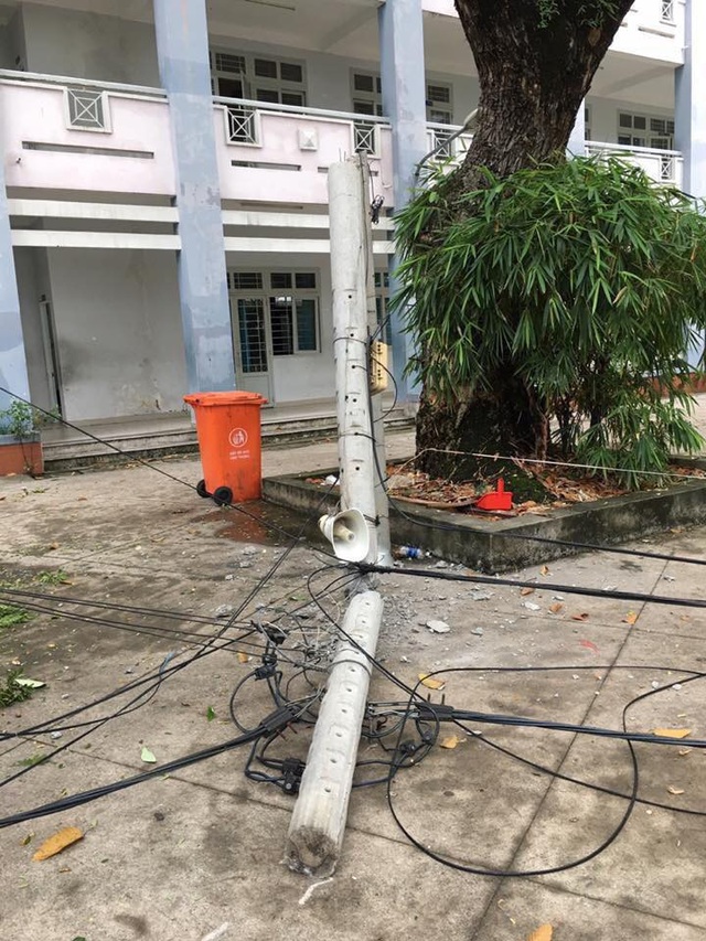 TPHCM: Ngày 27/11, hàng ngàn học sinh tiếp tục nghỉ học - 2 Cây và cột điện đổ tại Trường THPT Hoàng Hoa Thám, TPHCM (Ảnh: Fanpage của trường)