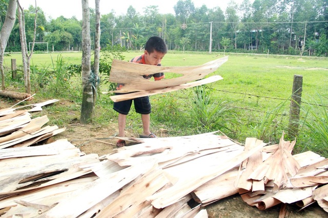 Không có bố, mẹ bỏ rơi, bé lớp 4 sống khốn khó bên người mợ ruột - 5 Hằng ngày sau mỗi buổi đến trường, bé Hiếu nhặt bìa giấy thuê để kiếm tiền phụ đỡ người mợ bệnh tật tốt bụng của mình