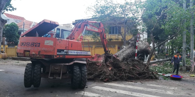 Vũng Tàu “ngổn ngang” sau bão số 9 - 3 Vũng Tàu “ngổn ngang” sau bão số 9 - 3