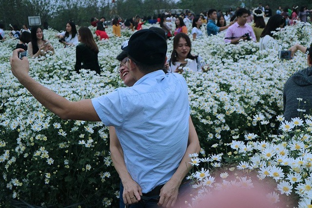 Vườn cúc họa mi 'thất thủ' vì quý cô Hà thành làm điều này - 15 Vườn cúc họa mi 'thất thủ' vì quý cô Hà thành làm điều này - 15