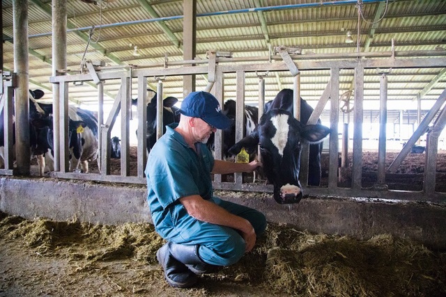 Sữa tươi sạch TH true MILK A2: “Quả ngọt” của nông nghiệp công nghệ cao - 2 Sữa tươi sạch TH true MILK A2: “Quả ngọt” của nông nghiệp công nghệ cao - 2