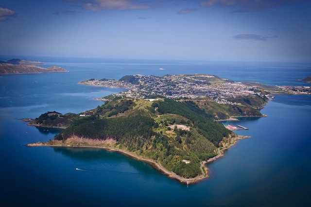 Các hòn đảo của New Zealand đang từ từ xích lại gần nhau - 1
Wellington, New Zealand nhìn từ trên cao. Một nghiên cứu mới đây cho biết trận động đất Kaikoura đã đẩy Mũi Campbell ở bờ bắc Đảo Nam tiến gần 35 cm về phía thành phố Wellington nằm ở ngay Eo Cook của Đảo Bắc.