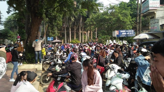 Hàng nghìn người đổ về ngắm hoa dã quỳ, Ba Vì “thất thủ” ngày cuối tuần - 1 Hoa dã quỳ Ba Vì thường ra hoa vào cuối thu đầu đông và chỉ nở rộ trong khoảng 2 tuần rồi tàn. Chính vì thế, vào khoảng thời gian này, hàng nghìn người lại đổ về Vườn Quốc Gia Ba Vì để chiêm ngưỡng, chụp ảnh với dã quỳ. Ảnh: Facebook
