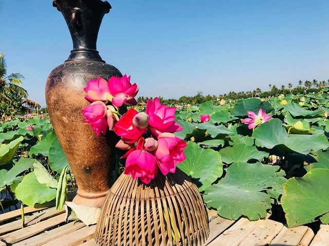Giới trẻ thoả sức "check in" hồ sen ở vùng cát trắng Ninh Thuận - 12 Tiểu cảnh sáng tạo với Sen và gốm Bàu Trúc- một nét văn đặc sắc của người Chăm Ninh Thuận