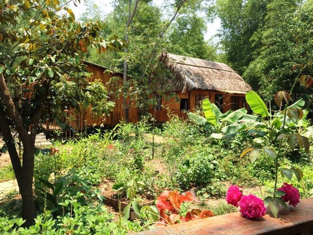 Đến Triêm Tây nghe cô gái Hà Nội kể câu chuyện sống theo quy luật của tự nhiên - 2 Đến Triêm Tây nghe cô gái Hà Nội kể câu chuyện sống theo quy luật của tự nhiên - 2