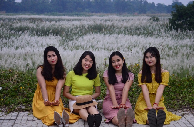 Quảng Ngãi: Cánh đồng hoa lau trắng như mây giữa dòng Trà Khúc - 6 Quảng Ngãi: Cánh đồng hoa lau trắng như mây giữa dòng Trà Khúc - 6