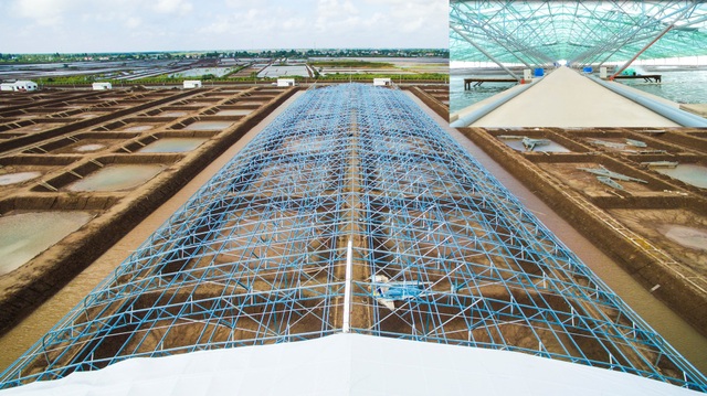 Tạo đà cho nông nghiệp công nghệ cao cất cánh - 1
Trang trại tôm Việt – Úc với quy mô 50 hecta và khu phức hợp quy mô 310 hecta do LYSAGHT Vietnam cung cấp giải pháp chuồng trại LYSAGHT AGRISHED™