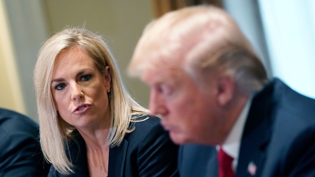 trump 11 trump 11