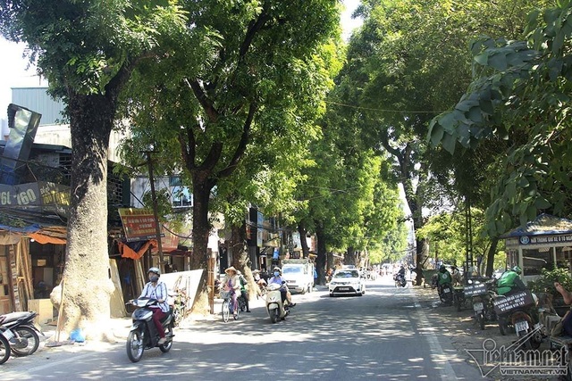 Tuyến đường "đắt nhất hành tinh", hàng nghìn người rục rịch chuyển nhà - 13 Tuyến đường "đắt nhất hành tinh", hàng nghìn người rục rịch chuyển nhà - 13