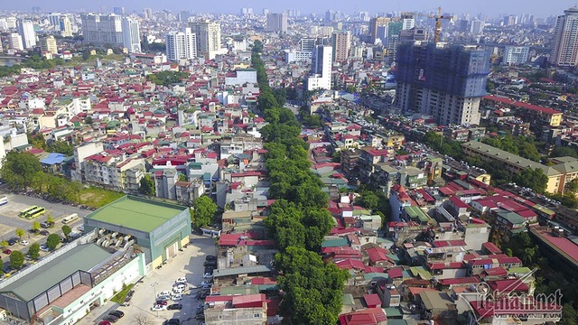 Tuyến đường "đắt nhất hành tinh", hàng nghìn người rục rịch chuyển nhà - 9
Hàng cây xà cừ cổ thụ chạy dọc tuyến đường