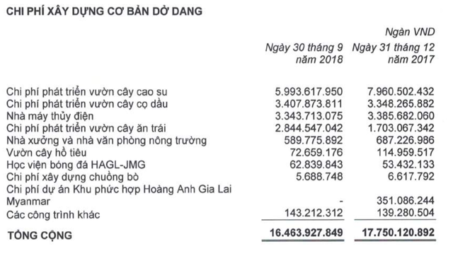 Khó khăn chồng chất, bầu Đức vẫn kiên trì trả lương cho HLV Park Hang Seo? - 2 Bầu Đức vẫn duy trì học viện bóng đá HAGL-JMG