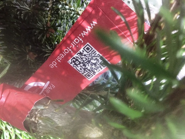 Thông nhập khẩu từ Đức cho mùa Giáng sinh hơn 1.000 USD/cây - 5 Mỗi cây đều có những mã code riêng.
