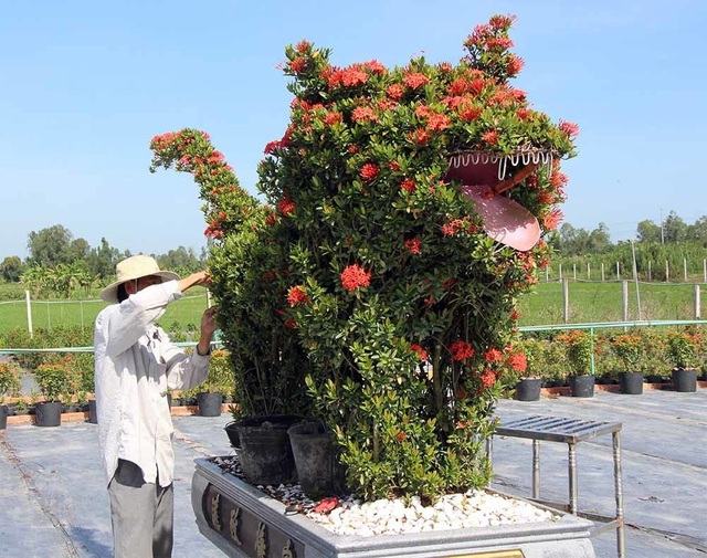 Cặp long quy từ hoa mẫu đơn giá 400 triệu ở miền Tây ngàn người mê - 9 Các nghệ nhân tỉ mỉ tạo hình các con thú trên cây hoa mẫu đơn