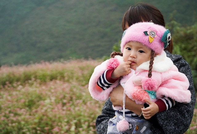 Ngắm đồi hoa tam giác mạch tuyệt đẹp ở Hà Giang - 9 Ngắm đồi hoa tam giác mạch tuyệt đẹp ở Hà Giang - 9