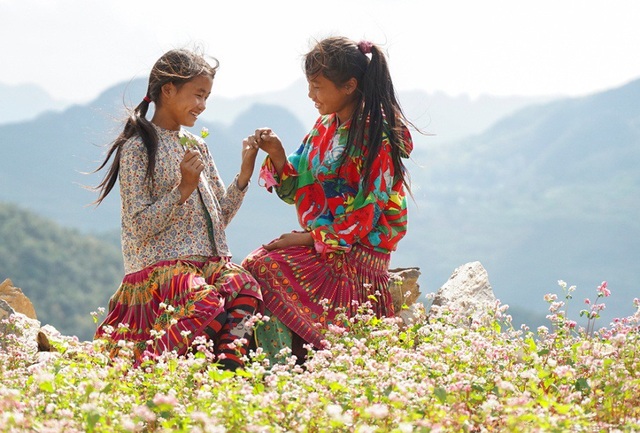 Ngắm đồi hoa tam giác mạch tuyệt đẹp ở Hà Giang - 11
Đồi hoa tam giác mạch tại xã Má Lé (huyện Đồng Văn). Đồi hoa này có diện tích lớn, đang độ bung nở rực rỡ.