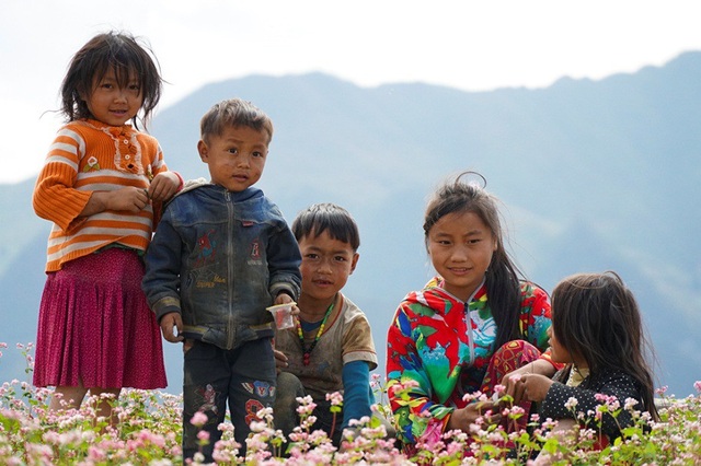 Ngắm đồi hoa tam giác mạch tuyệt đẹp ở Hà Giang - 4
Những nơi nhiều hoa tam giác mạch và đẹp nhất phải kể đến như Phố Cáo, Sủng Là, Lũng Cú (thuộc huyện Đồng Văn).