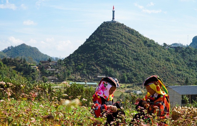Ngắm đồi hoa tam giác mạch tuyệt đẹp ở Hà Giang - 5
Người dân tộc Lô Lô trên đồi hoa tam giác mạch dưới chân cột cờ Lũng Cú.