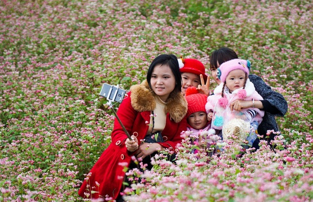 Ngắm đồi hoa tam giác mạch tuyệt đẹp ở Hà Giang - 8
Ngoài việc kinh doanh dịch vụ chụp ảnh cho khách du lịch, cây hoa tam giác mạch còn là lương thực cứu đói trong trường hợp mất mùa, giáp hạt. Hạt mạch để xay bột làm bánh, thân cây còn non dùng làm rau xanh.