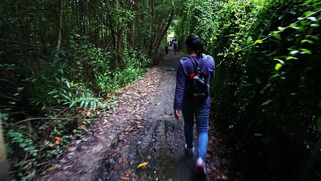 “Chiêu độc” kích cầu du lịch cuối năm của TPHCM - 4 Tour TPHCM - trung tâm triển lãm yến sào VN - rừng phòng hộ Cần Giờ (Dần Xây) - TPHCM: đi về bằng tàu 1 ngày (ăn trưa). Ảnh: Trải nghiệm đi bộ trong rừng ở Cần Giờ.