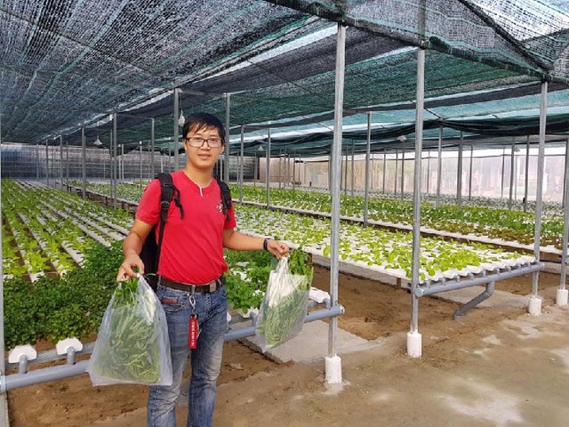 Quảng Nam: Cử nhân tiếng Anh bỏ phố về quê trồng rau thủy canh - 6
Nhiều khách hàng đến tận vườn rau thủy canh của Nguyễn Thị Y để mua rau và tham quan mô hình. Ảnh: Trần Hậu