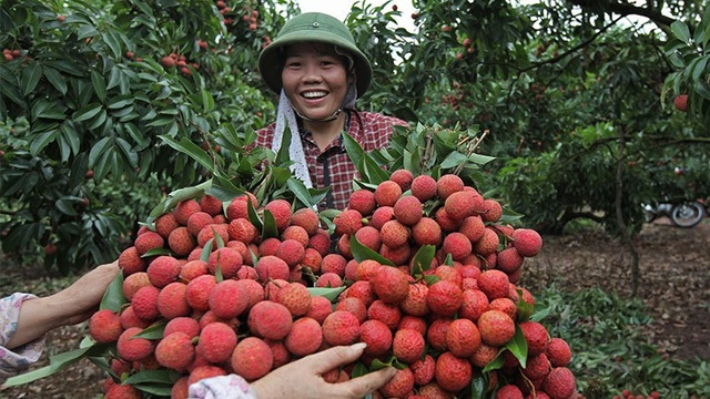 Một làng 600 tỷ phú: Chỉ trúng 1 vụ chia nhau hàng ngàn tỷ - Ảnh 1. Một làng 600 tỷ phú: Chỉ trúng 1 vụ chia nhau hàng ngàn tỷ - Ảnh 1.