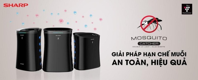 Ngăn ngừa sốt xuất huyết hiệu quả ngay tại nhà - Ảnh 2. Ngăn ngừa sốt xuất huyết hiệu quả ngay tại nhà - Ảnh 2.