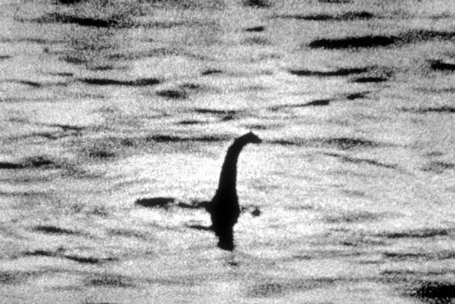 Quái vật hồ Loch Ness lại bất ngờ xuất hiện? - Ảnh 1.
