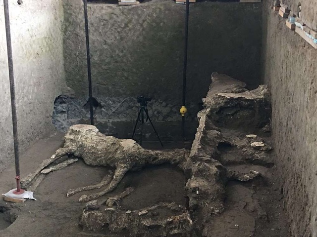 Phát hiện xác ngựa còn nguyên yên cương sau thảm hoạ khủng khiếp Pompeii - Ảnh 1. Phát hiện xác ngựa còn nguyên yên cương sau thảm hoạ khủng khiếp Pompeii - Ảnh 1.