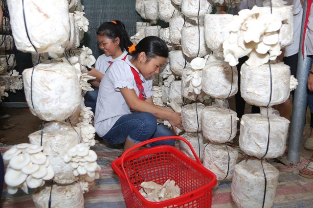 Nâng cao nhận thức về dinh dưỡng cho học sinh tiểu học - Ảnh 1. Nâng cao nhận thức về dinh dưỡng cho học sinh tiểu học - Ảnh 1.