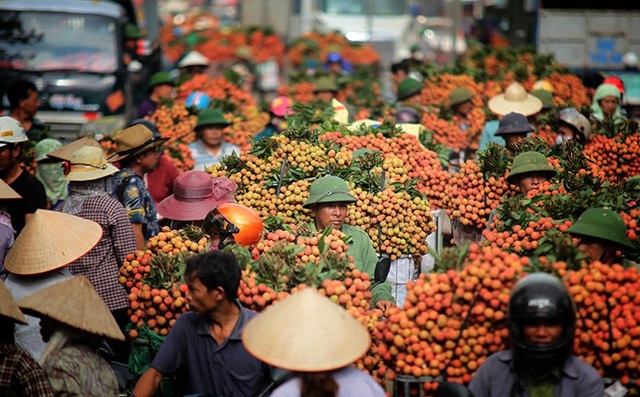 Hàng loạt dấu mốc lịch sử được xác lập tại Bắc Giang năm 2018 - Ảnh 2. Hàng loạt dấu mốc lịch sử được xác lập tại Bắc Giang năm 2018 - Ảnh 2.