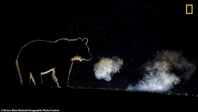 10 bức ảnh ấn tượng trong giải thưởng nhiếp ảnh National Geographic 2018 - 9 10 bức ảnh ấn tượng trong giải thưởng nhiếp ảnh National Geographic 2018 - 9